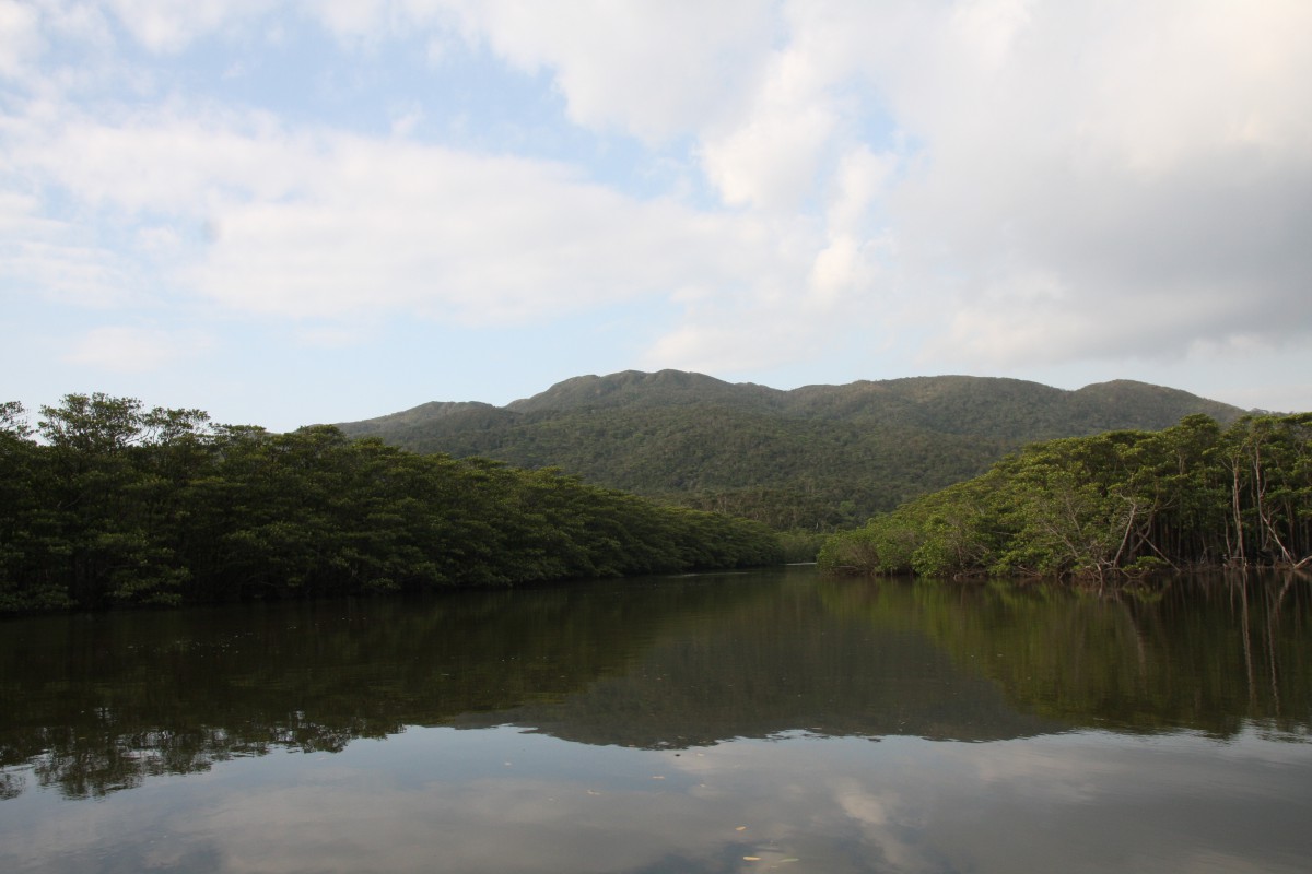 年越しを石垣島で。八重山そばが美味しかった4店とお気に入りのTシャツ屋さん2店を紹介。 嗚呼、今日はいい天気だ日記